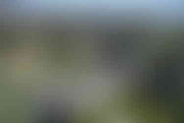 hiking Thousand Island Lake, Ansel Adams Wilderness California