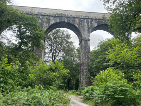 Treffry Viaduct