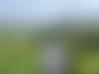 Foggy weather on Bodmin Moor, Cornwall