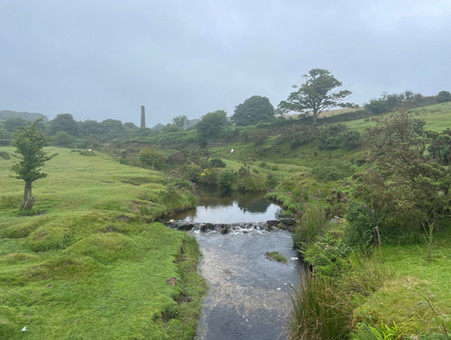 Foggy weather on Bodmin Moor, Cornwall