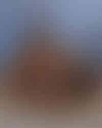 Church in Bodie State Park