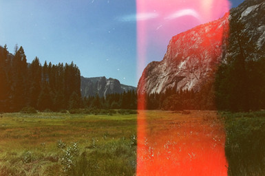 meadow on 35mm film, Yosemite Valley, California