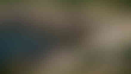 Boat in Penberth Cove