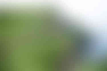 Hiking from Dunseverick Castle to Giant's Causeway