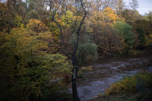Autumn colours along the River Kelvin, Glasgow, Scotland