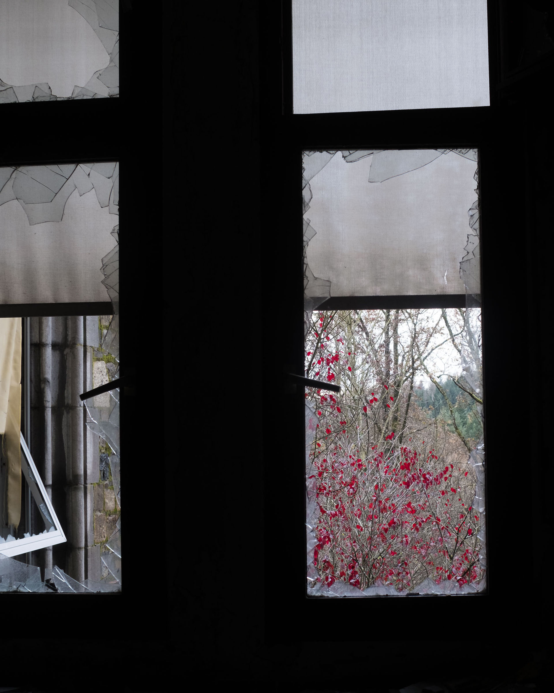 Window autumn colours at the Sanatorium du Basil, Belgium. Borgoumont Sanatorium urbex