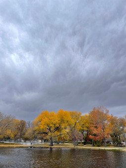 Fall colours in Bishop City Park