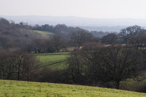 5 lockdown walks in Exeter