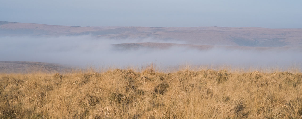 Foggy morning on Dartmoor National Park