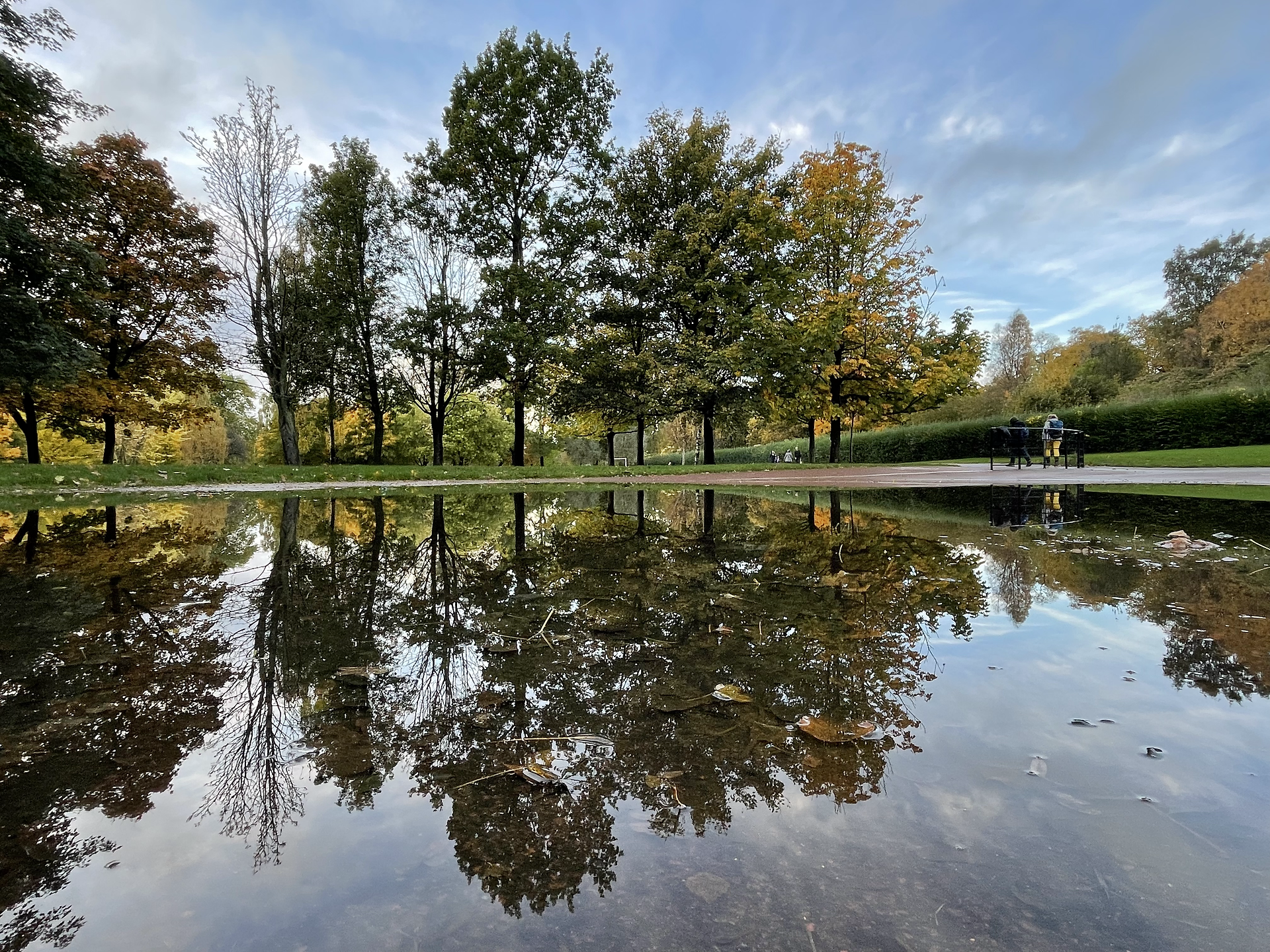 Reflection of autumn trees in Kelvingrove Park