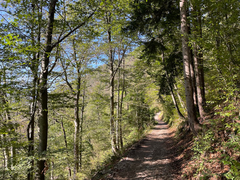 Vintgar Gorge hike