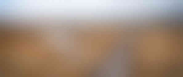 Walkway to Wild Willy's Hot Springs, California