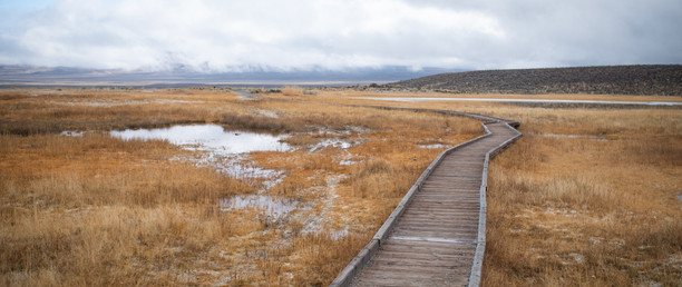 Walkway to Wild Willy's Hot Springs, California
