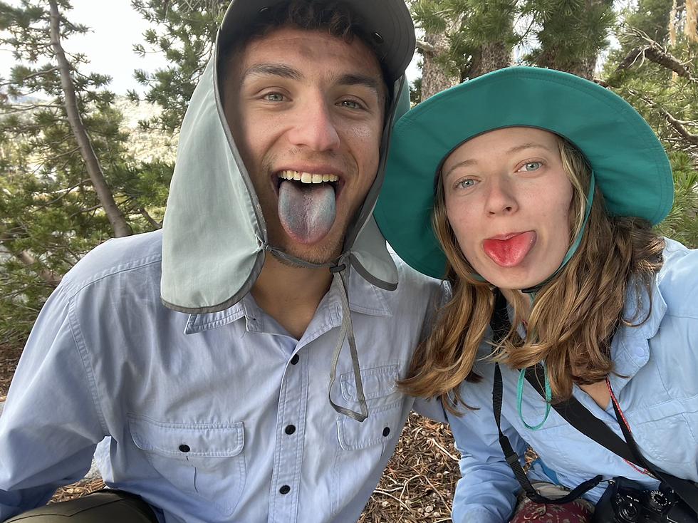 Campers love Jolly Ranchers