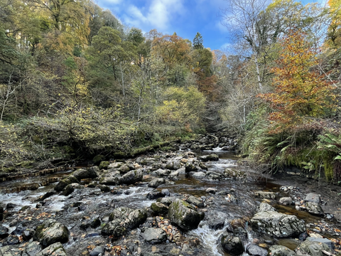 autumn colours near Campsie Glen waterfalls