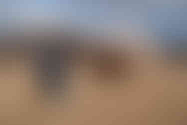 Self-portrait in Bodie