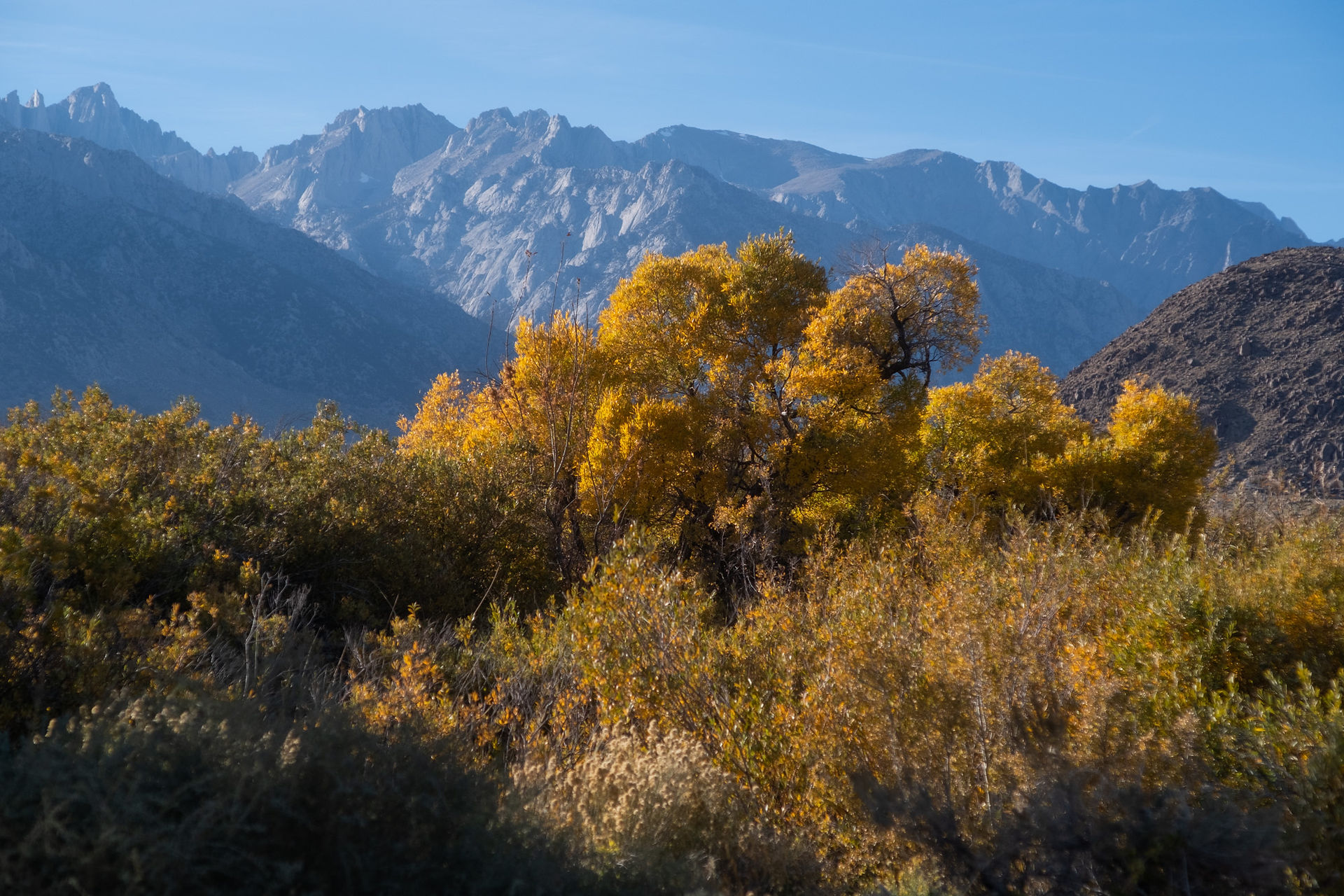 Autumn colours in Alabama Hills