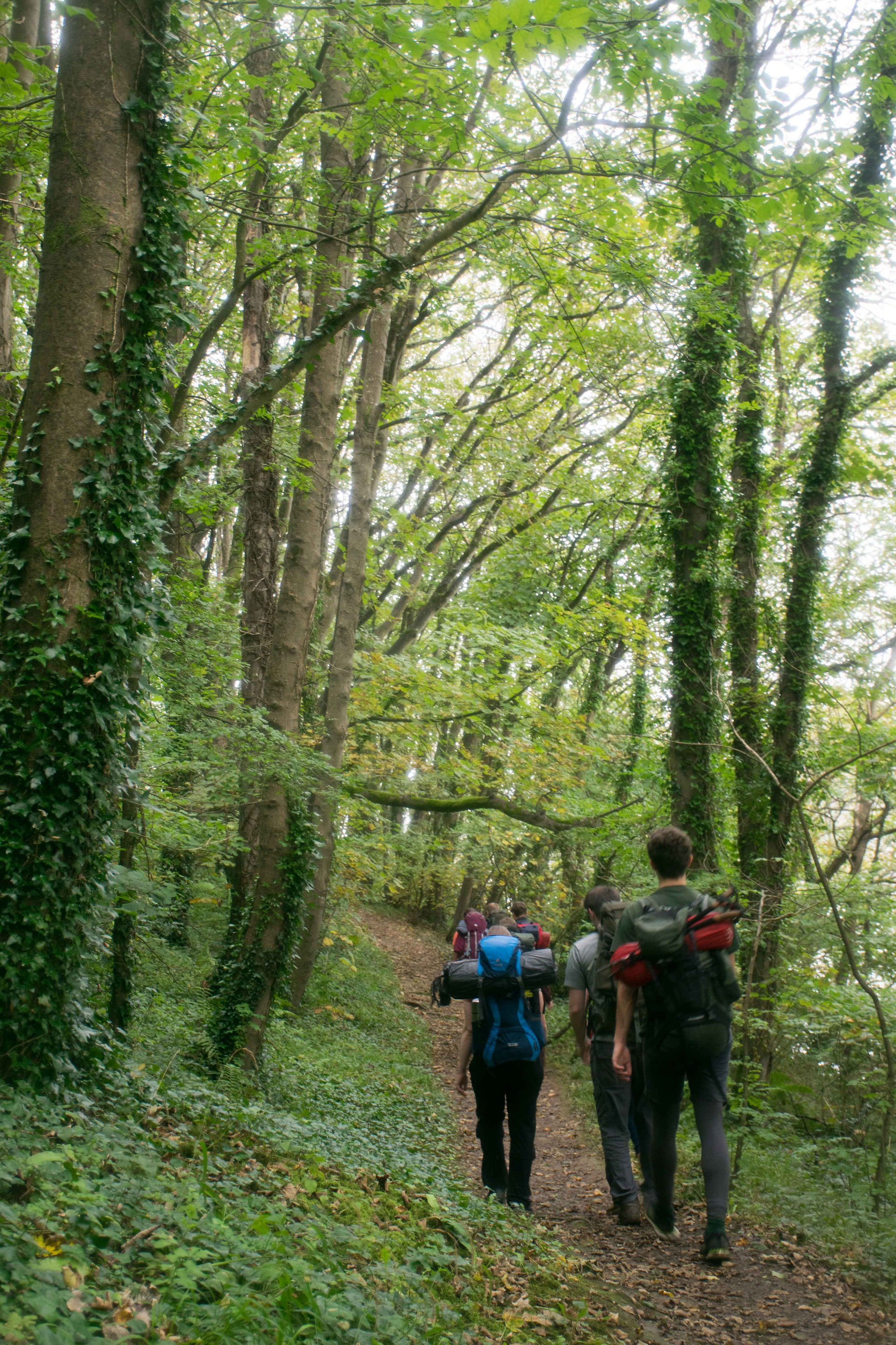 Coastal day hikes near Exeter: Combe Martin to Ilfracombe