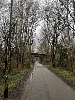 Cycle rides near Exeter