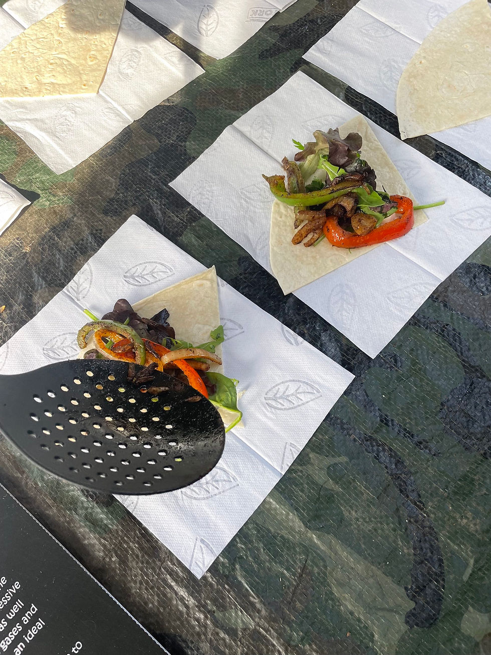 Future food? Eating insects at the Powderham Food Festival