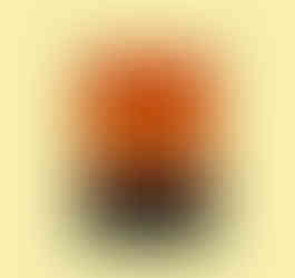 Infographic designed in Affinity Publisher