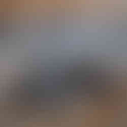 Wild Willy's Hot Springs pool, California