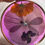 Thumbnail: Red Poppy Dichroic Healing Disc