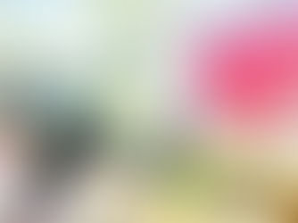 Kiên nhẫn trong giáo dục: Ánh sáng nhỏ có thể thay đổi cả một cuộc đời