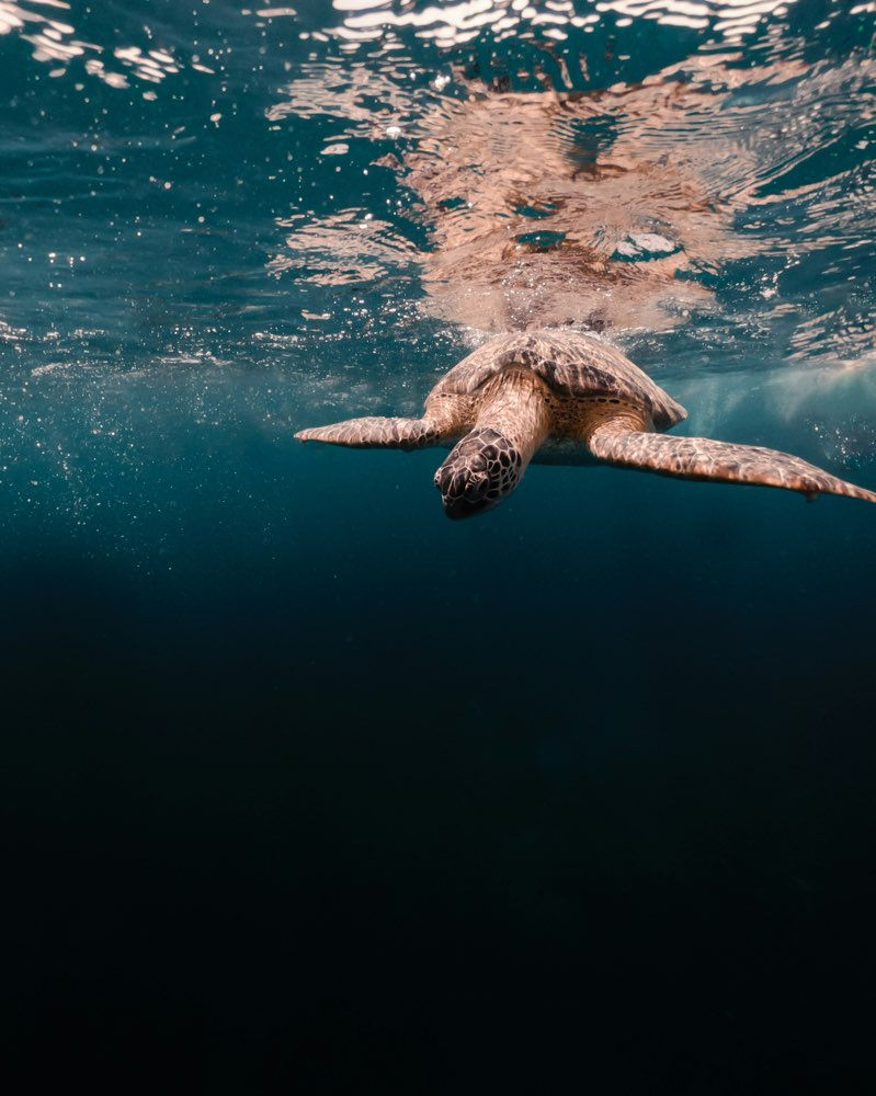 Photo by Victor Ene on Unsplash