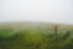 Photo by Evelyn Mostrom on Unsplash
