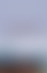 Book: Annes rejse – livskvalitet med forhidringer