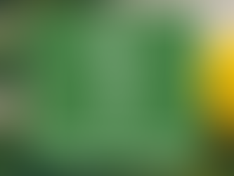 Kişiye Özel Eğitim Programı