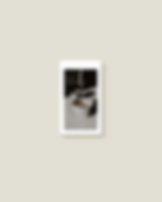 canva-social-media--story-template-for-sale-by-christinesveen--minimal-and-stylish-01.gif