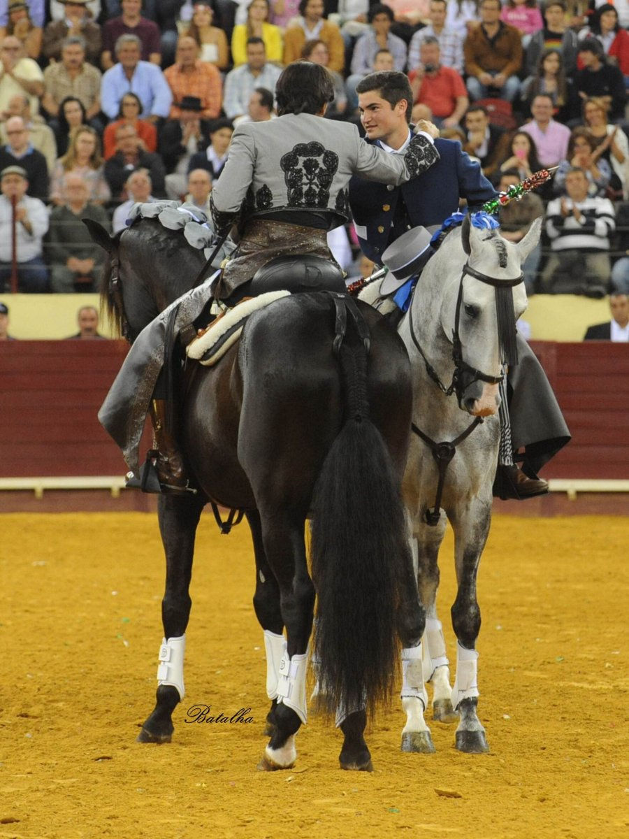 DON QUIXOTE IR