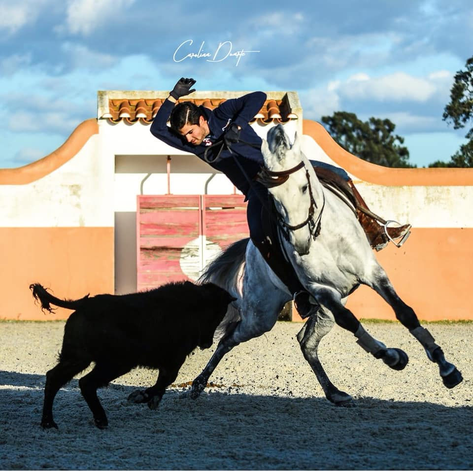 GALILEO PH