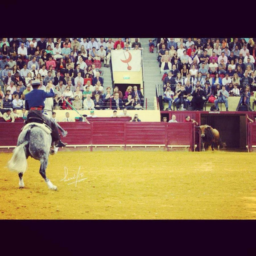 DON QUIXOTE IR