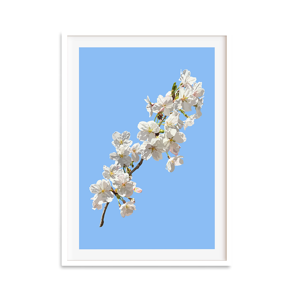 Thumbnail: Sakura 01 Print