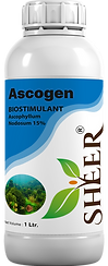 ASCOGEN.png