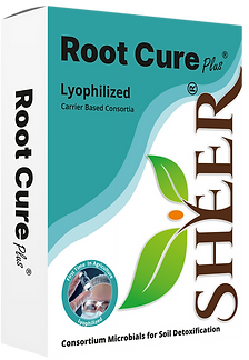 ROOT CURE Plus 250 gm Box.png