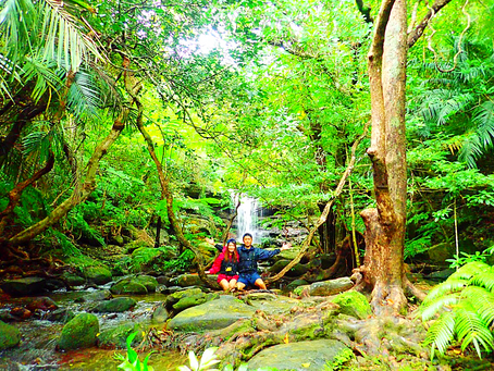 西表島で秘境の滝巡りへ〜🌴💚