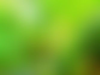 西表島で島旅を〜💚もののけの森に出かけよう〜