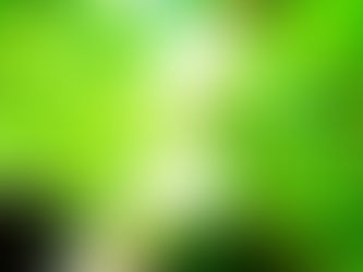 西表島で島旅を楽しもう〜🌴💚