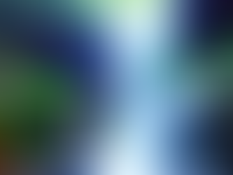 西表島で島旅を〜秘境の滝のエナジーを浴びよう〜💙🌴