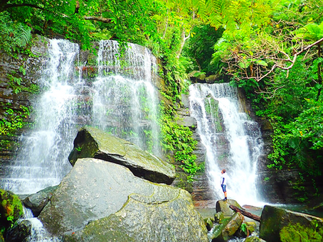 水と緑の秘境〜西表島でシャワートレッキング🌴