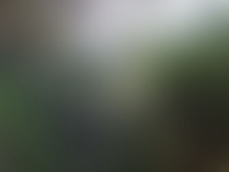 Garden Route slackpacking South Africa