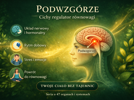 Podwzgórze działa jak wewnętrzny czujnik. Cały czas sprawdza, czy masz wystarczająco energii, czy jesteś nawodniona, czy organizm jest w stresie, czy możesz odpocząć, czy trzeba się mobilizować. I na tej podstawie reguluje to, co dzieje się dalej. Można powiedzieć, że ono nie przestaje pracować ani na chwilę.