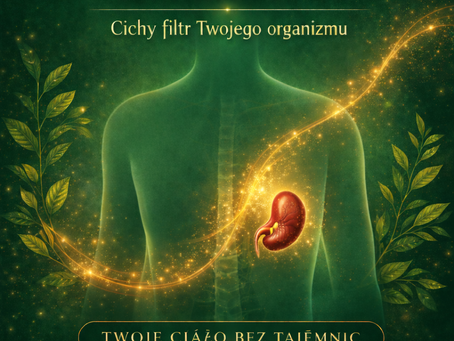 Śledziona znajduje się po lewej stronie, pod żebrami.