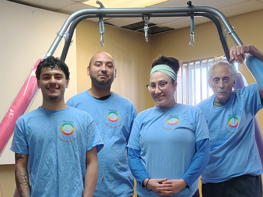 Swing frames for Sensory Integration Therapy? Therapeutic answers from Take a Swing