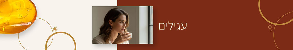 Baner Desktop - עגילים.jpg