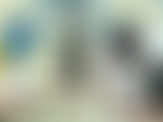 בת אל גטרר, מדליית זהב, אליפות אירופה רוסיה 2010